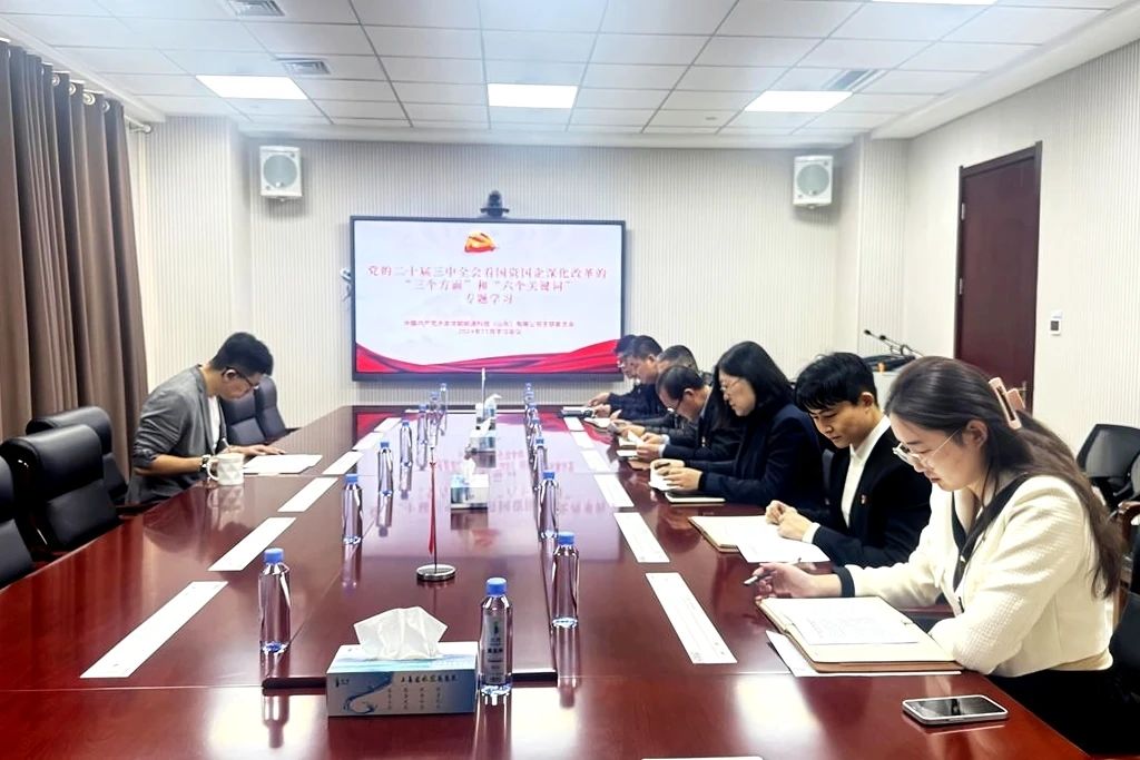 1733131367494478.jpg 龙能公司9.jpg