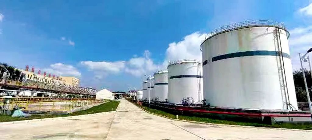 华东石油2.jpg
