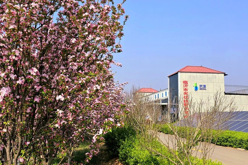沂南.jpg